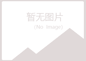 中山碧彤服务有限公司